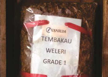 Tembakau Weleri: Emas Hijau yang Kembali Bersinar
